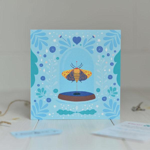 Greeting Card of a beautiful moth under glass made by Fleur & Mimi in Co. Tipperary